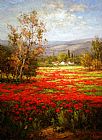 Field Canvas Paintings - Poppy Field Splendid Pathway